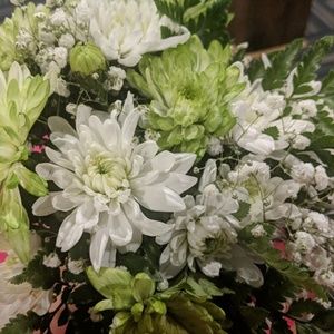 Meet your Posher, Koh